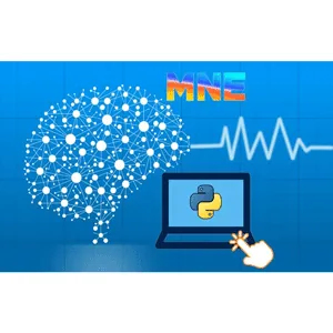 Udemy – EEG/ERP Analysis with Python and MNE: An Introductory Course 2025-7