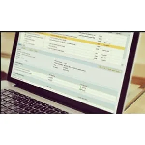 Udemy – SAP SD Training – in Plain English 2024-4