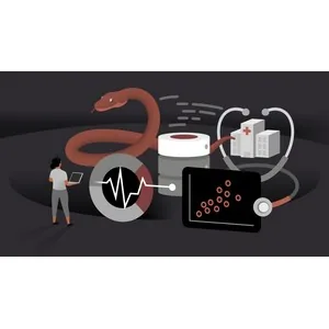 LinkedIn – Python Data Analysis for Healthcare 2024-4