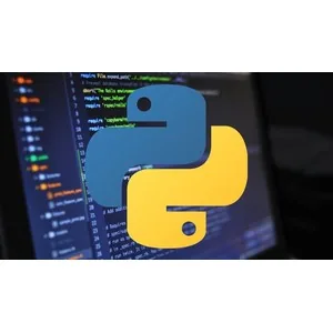 Udemy – Python Asyncio: High-level API 2024-3