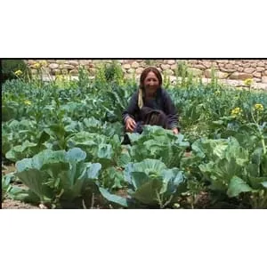 Udemy – Bio-Organic Farming & Gardening: GROW Your Own FOOD 2023-10