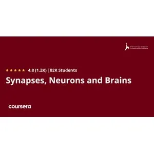 Coursera – Synapses, Neurons and Brains 2025-3