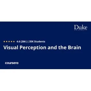 Coursera – Visual Perception and the Brain 2025-3