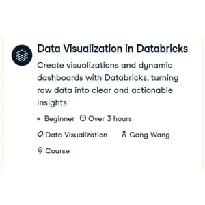 Datacamp – Data Visualization in Databricks 2025-3