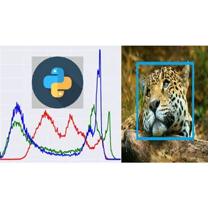 Udemy – Python for Signal and Image Processing Master Class 2023-5
