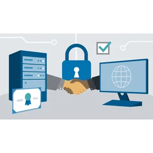 LinkedIn – SSL Certificates for Web Developers 2025-3
