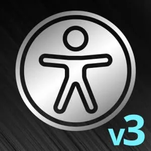 Frontend Masters – Website Accessibility, v3 2025-3