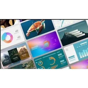Udemy – Create Professional PowerPoint: From Beginner to Expert 2024-7