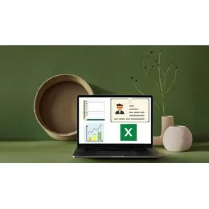 Udemy – Complete Advanced Data Entry Application in Microsoft Excel 2025-1