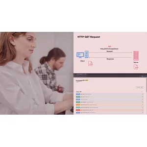 Pluralsight – Python Requests Playbook 2023-9