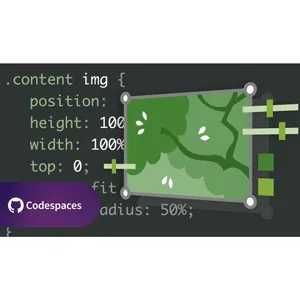 LinkedIn – CSS: Images 2025-4
