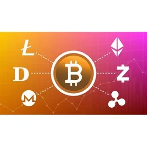 Udemy – Bitcoin & Crypto Trading: Master Financial Analysis 2024-11