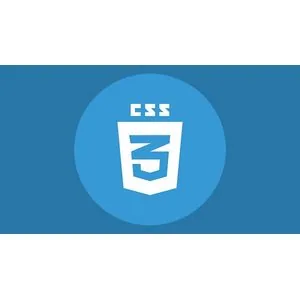 Udemy – CSS Fundamentals: Comprehensive Training for Web Developers 2023-10