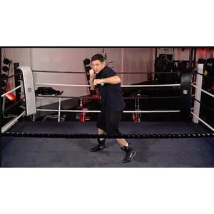 Udemy – The Complete Boxing Fitness & Skills Certificate Course 2025-4
