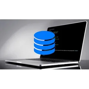 Udemy – Database Bootcamp: SQL, Python, Integration, and MORE! 2023-9