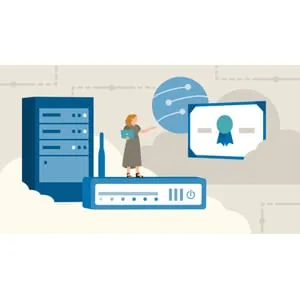Linkedin – CompTIA Network+ (N10-009) Cert Prep 2025-4