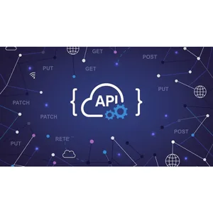 Udemy – Offensive API Exploitation 2025-5