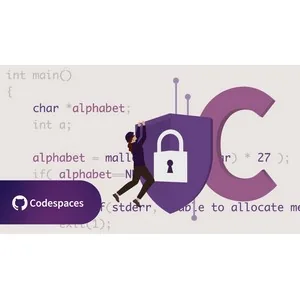 LinkedIn – Secure Coding in C 2025-3