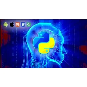 Udemy – Python Developer | Complete course 2024-12