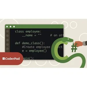 LinkedIn – Transition from C# to Python 2025-2