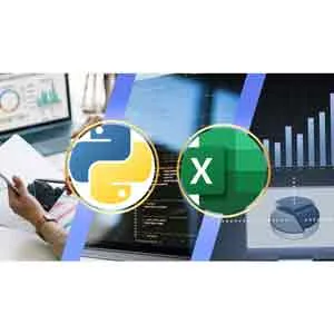 Udemy – Advanced Python Automation for Excel and Accounting 2025-5