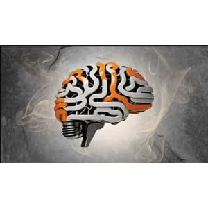 Udemy – Diploma Training Course in Modern Applied Psychology (DiMAP) 2024-11