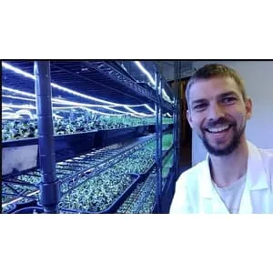 Udemy – Growing Microgreens for Business and Pleasure 2024-11