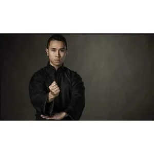 Udemy – Wing Chun Kung Fu Masters Course Dragon Sifu – Martial Arts 2024-1