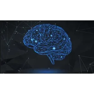 Udemy – Neuroplasticity Masterclass: Unleash The Power Of Your Brain 2025-4