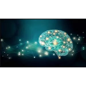 Udemy – The Neuroplasticity Masterclass: How To Rewire Your Brain 2024-5