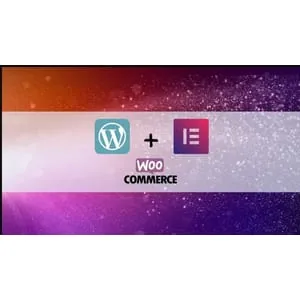 Udemy – WordPress & Elementor | E-Commerce & Dropshipping Success 2025-7
