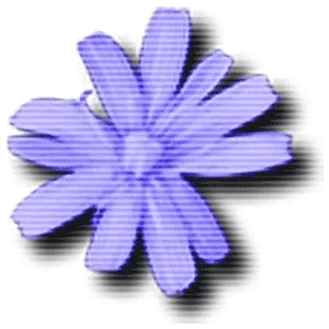 Cloanto C64 Forever 11.2.2 Plus Edition