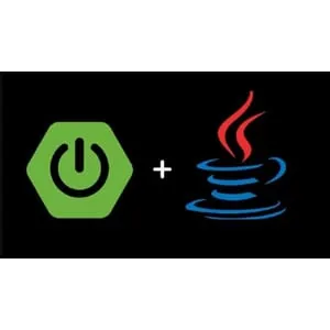 Udemy – Mastering Java + Spring Boot: REST APIs and Microservices 2025-1