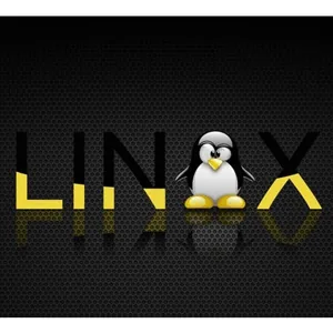 Udemy – Linux Bootcamp 2025: Learn Linux in under 3 hours 2025-7