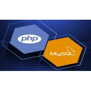 Udemy – Build 13 Projects with PHP MySQL Bootstrap and PDO 2024-8