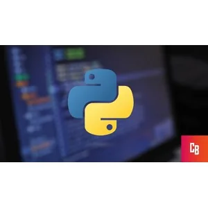 Udemy – Python Programming Course From Zero To Hero 2025-5