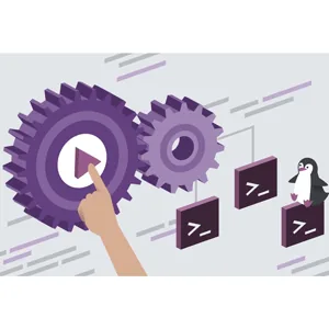 LinkedIn – Linux Bash Shells and Scripts: Streamlining Tasks and Enhancing Workflows with Automation 2025-5