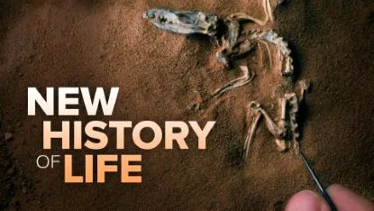 The Great Courses – A New History of Life 2025-7