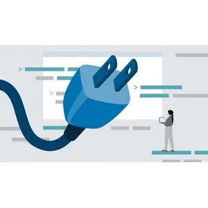 LinkedIn – Custom WordPress Plugins: Design, Develop, and Distribute 2025-1