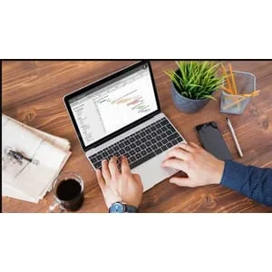 Udemy – SAP ALE IDoc training for functional – ZERO to EXPERT 2025 2025-5