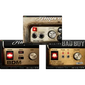 Bogren Digital AmpKnob BDM Bundle 2025.5