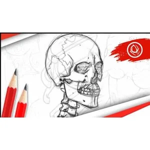 Udemy – Anatomy Art School: The Complete Skeletal Drawing Course 2025-4
