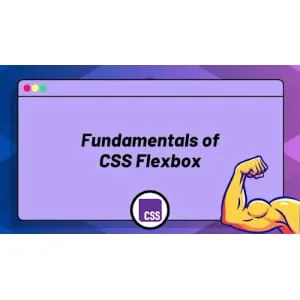 ZerotoMastery – Fundamentals of CSS Flexbox 2025-9