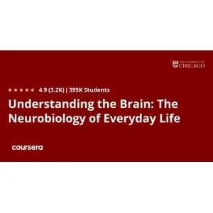 Coursera – Understanding the Brain: The Neurobiology of Everyday Life 2025-9