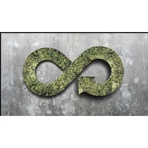 Udemy – The Circular Economy 2025-4