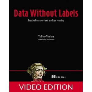 Oreilly – Data Without Labels, Video Edition 2025-5