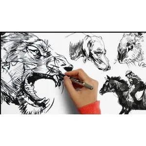 Udemy – Masterclass of Animal Drawing: Beginner to Advanced 2023-3