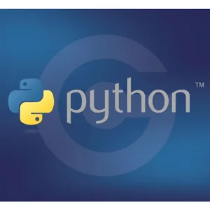 Udemy – Working with Python – Introductory Level 2022-5