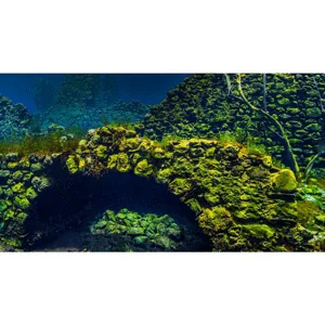 The Great Courses Plus – Underwater Archaeology: Mysteries of the Deep 2025-4