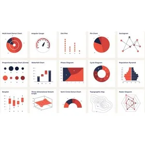 Udemy – Master Data Analysis: Foundations, R, SPSS, Jamovi, Sheets 2025-5